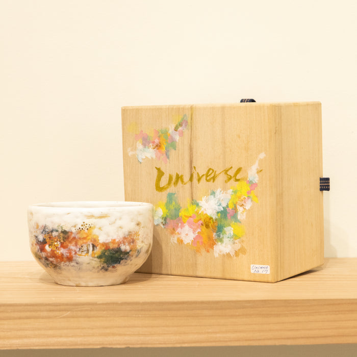 Universe No.17